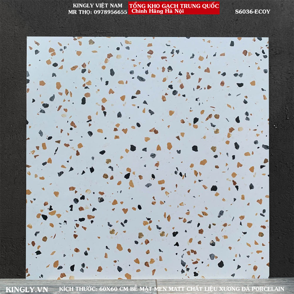 Gạch Terrazzo 60x60 S6036